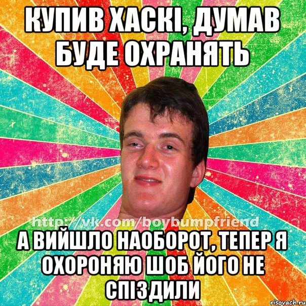 Купив хаскі, думав буде охранять А вийшло наоборот, тепер я охороняю шоб його не спіздили