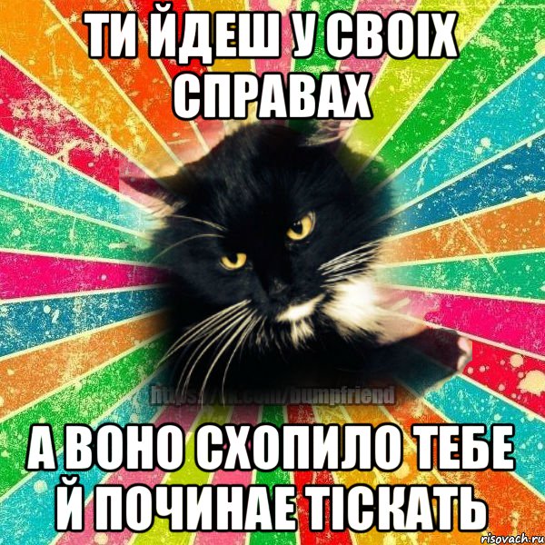 ти йдеш у своIх справах а воно схопило тебе й починае тiскать, Мем йобнутий коте