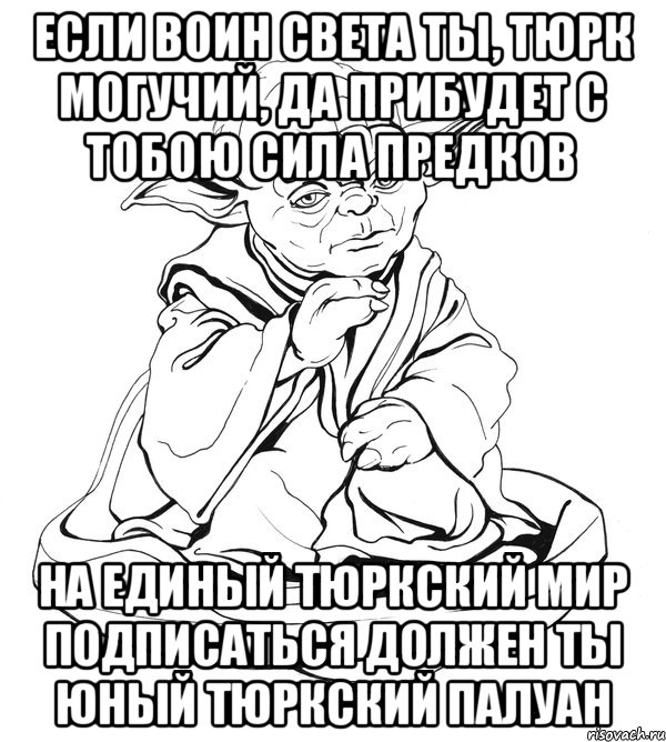 если воин света ты, Тюрк могучий, да прибудет с тобою сила предков на Единый Тюркский Мир подписаться должен ты юный Тюркский палуан, Мем Мастер Йода