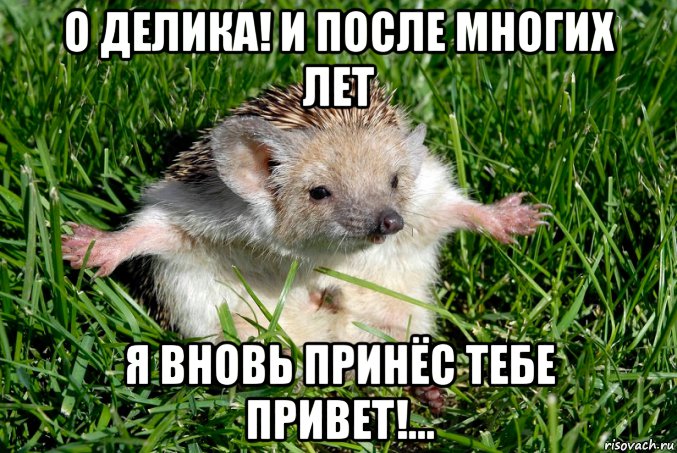 о делика! и после многих лет я вновь принёс тебе привет!...