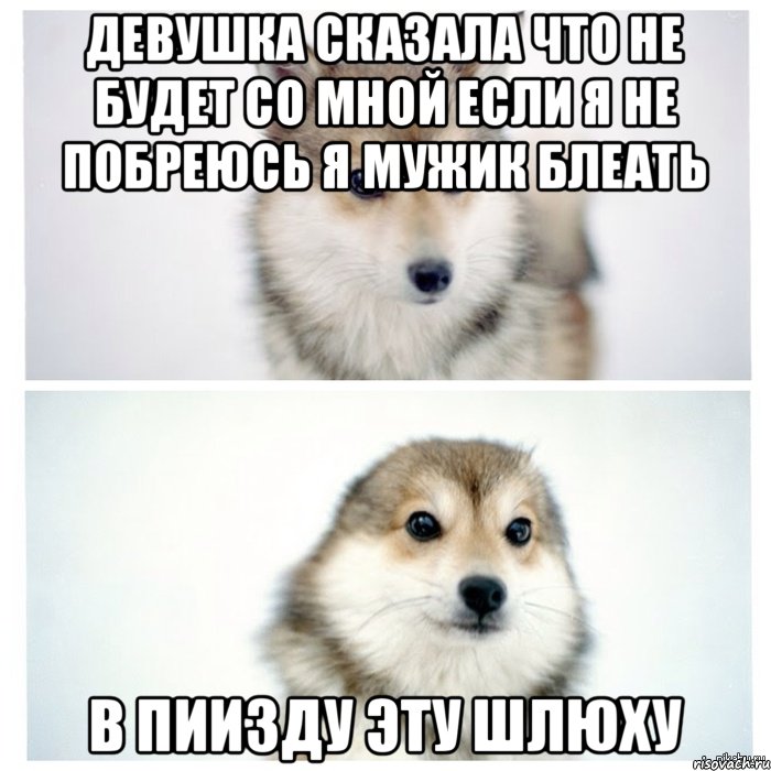 Девушка сказала что не будет со мной если я не побреюсь Я мужик блеать В Пиизду эту Шлюху, Мем ысф