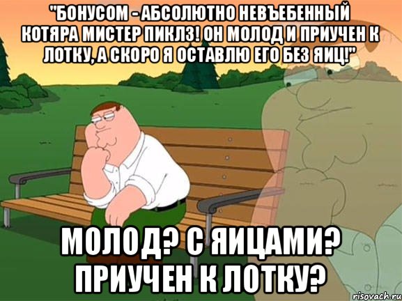 "бонусом - абсолютно невъебенный котяра мистер Пиклз! Он молод и приучен к лотку, а скоро я оставлю его без яиц!" молод? с яицами? приучен к лотку?, Мем Задумчивый Гриффин