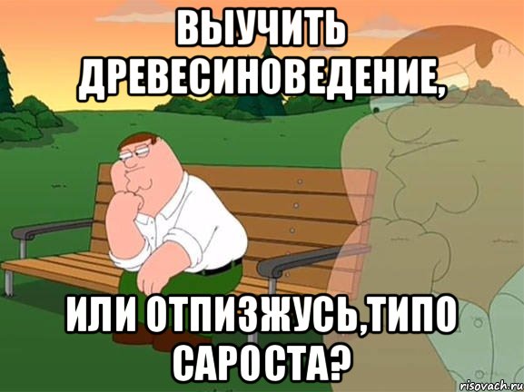 Выучить древесиноведение, или отпизжусь,типо сароста?, Мем Задумчивый Гриффин