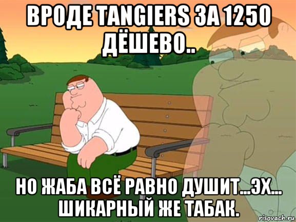 вроде tangiers за 1250 дёшево.. но жаба всё равно душит...эх... шикарный же табак., Мем Задумчивый Гриффин