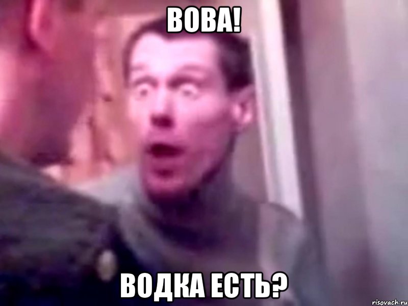 Вова! водка есть?, Мем Запили