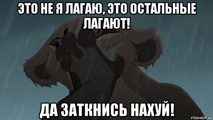 это не я лагаю, это остальные лагают! да заткнись нахуй!, Мем Заткнись нахуй