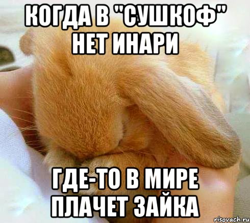 Когда в "Сушкоф" нет инари Где-то в мире плачет зайка