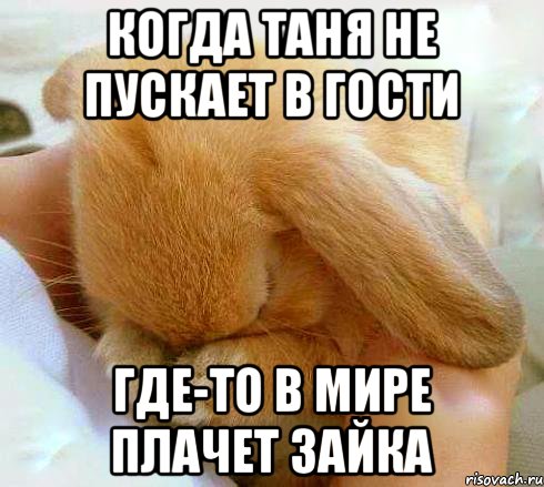 Когда Таня не пускает в гости Где-то в Мире плачет зайка