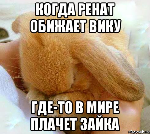 Когда Ренат обижает Вику Где-то в Мире плачет зайка