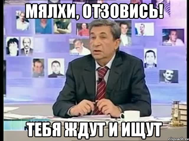 мялхи, отзовись! тебя ждут и ищут