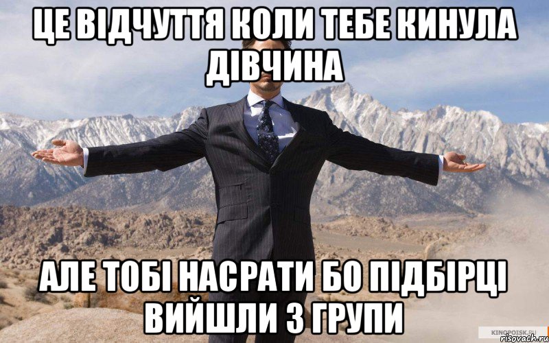 Це відчуття коли тебе кинула дівчина Але тобі насрати бо Підбірці вийшли з групи, Мем железный человек