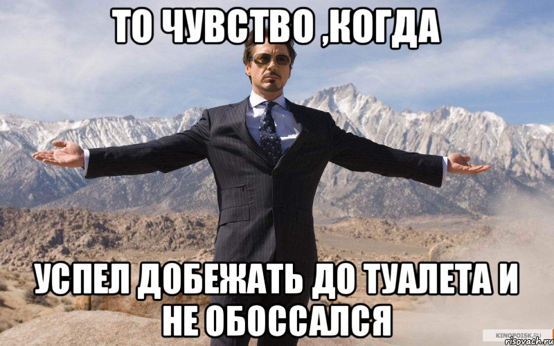 То чувство ,когда успел добежать до туалета и не обоссался, Мем железный человек