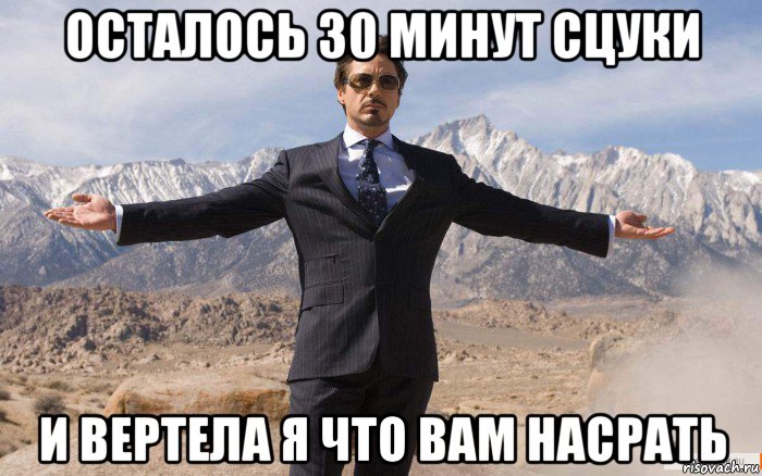 осталось 30 минут сцуки и вертела я что вам насрать, Мем железный человек