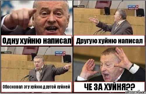 Одну хуйню написал Другую хуйню написал Обосновал эту хуйню другой хуйней ЧЕ ЗА ХУЙНЯ??, Комикс жиреновский