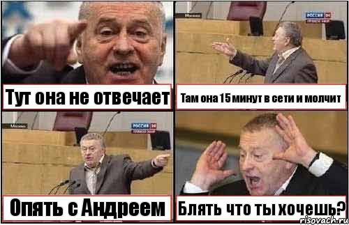 Тут она не отвечает Там она 15 минут в сети и молчит Опять с Андреем Блять что ты хочешь?, Комикс жиреновский