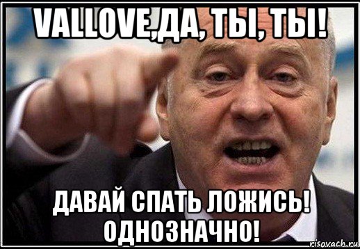 vallove,да, ты, ты! давай спать ложись! однозначно!, Мем жириновский ты