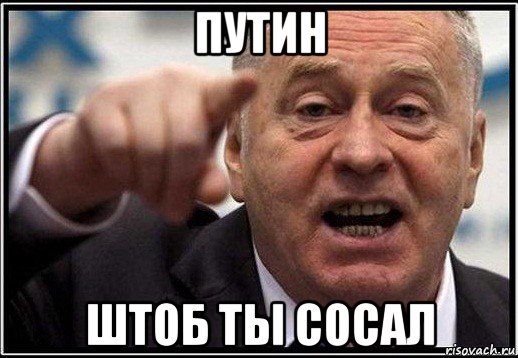 путин штоб ты сосал, Мем жириновский ты