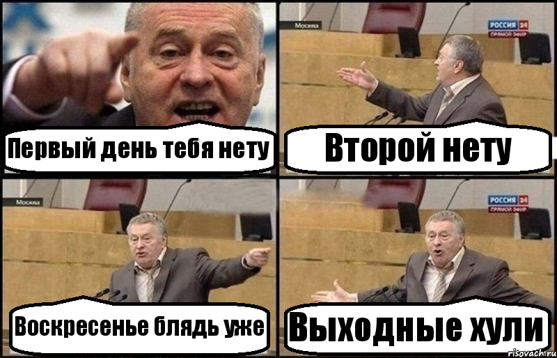 Первый день тебя нету Второй нету Воскресенье блядь уже Выходные хули, Комикс Жириновский