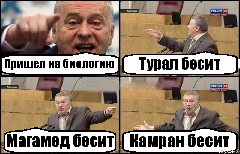 Пришел на биологию Турал бесит Магамед бесит Камран бесит, Комикс Жириновский