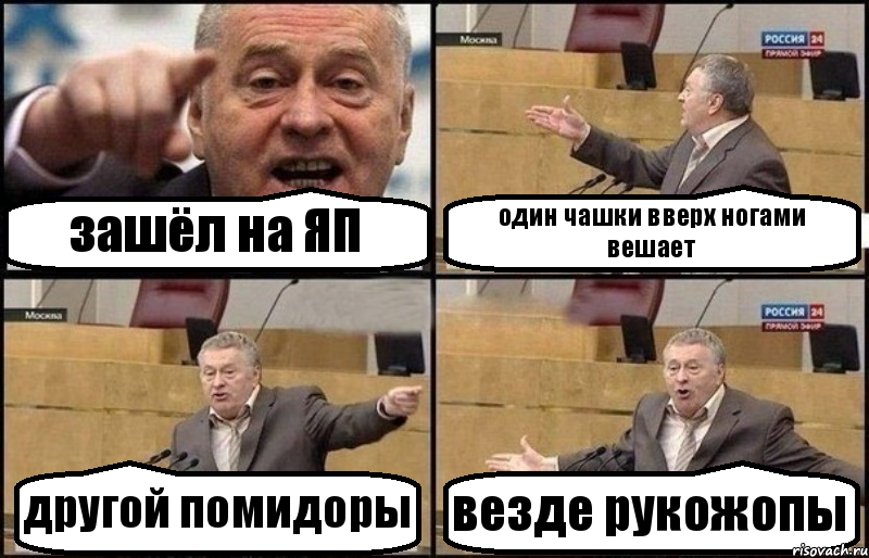 зашёл на ЯП один чашки вверх ногами вешает другой помидоры везде рукожопы, Комикс Жириновский