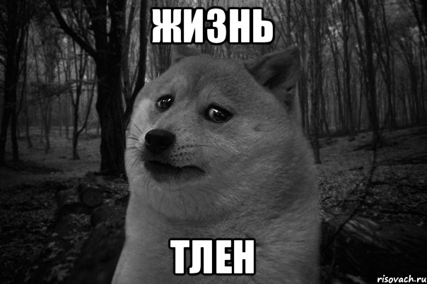 жизнь тлен, Мем жизнь тлен