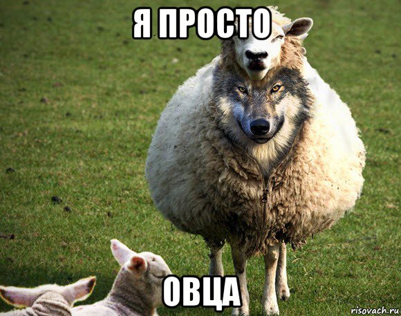 я просто овца, Мем Злая Овца