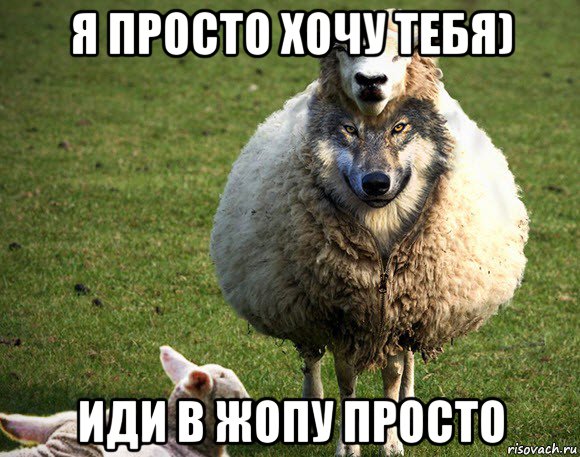 я просто хочу тебя) иди в жопу просто, Мем Злая Овца