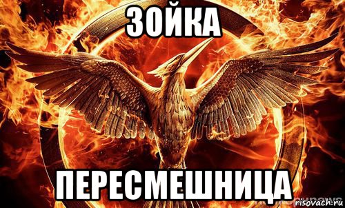 зойка пересмешница, Мем Зойка пересмешница