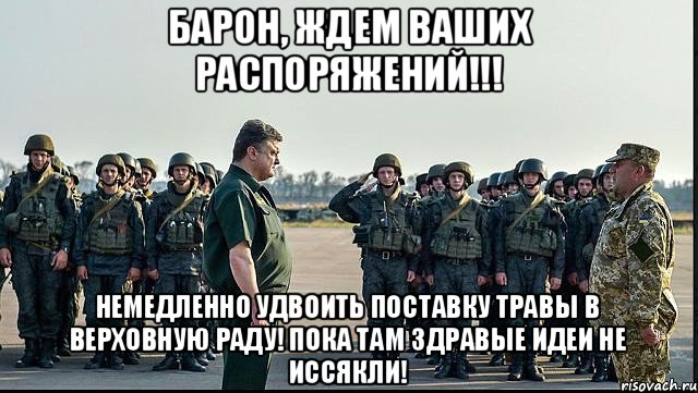 барон, ждем ваших распоряжений!!! немедленно удвоить поставку травы в верховную раду! пока там здравые идеи не иссякли!, Мем zzZ