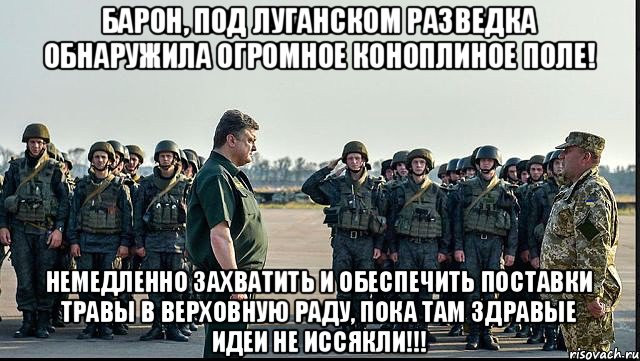 барон, под луганском разведка обнаружила огромное коноплиное поле! немедленно захватить и обеспечить поставки травы в верховную раду, пока там здравые идеи не иссякли!!!, Мем zzZ