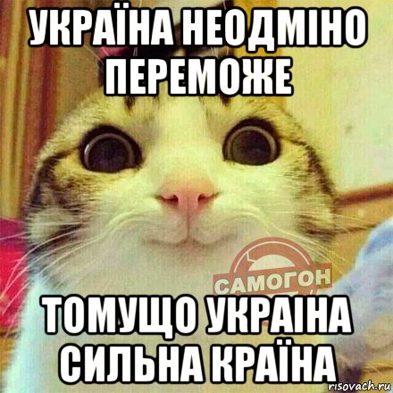 україна неодміно переможе томущо украіна сильна країна, Мем 12