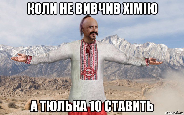 коли не вивчив хімію а тюлька 10 ставить, Мем 5