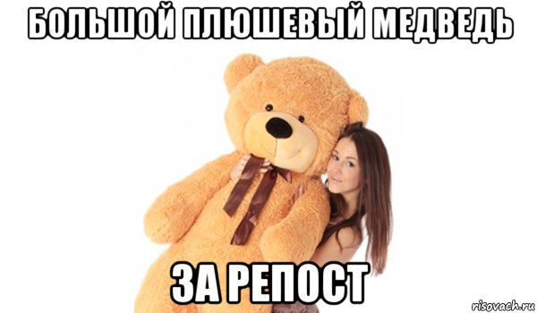 большой плюшевый медведь за репост, Мем 7