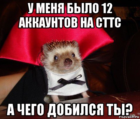 у меня было 12 аккаунтов на сттс а чего добился ты?