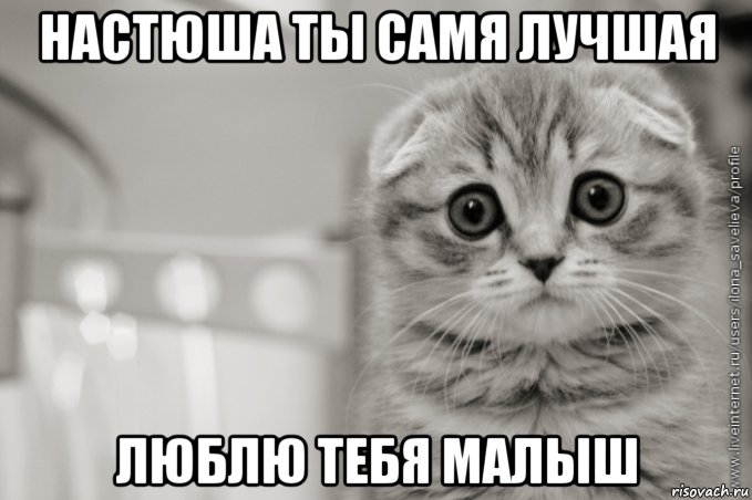 настюша ты самя лучшая люблю тебя малыш, Мем А я Люблю Алису