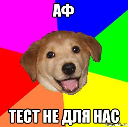 аф тест не для нас, Мем Advice Dog