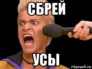 сбрей усы, Мем Адвокат