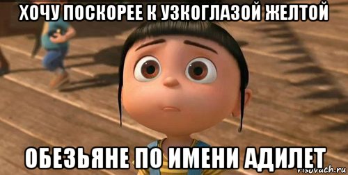 хочу поскорее к узкоглазой желтой обезьяне по имени адилет, Мем    Агнес Грю