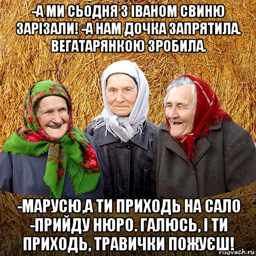 -а ми сьодня з іваном свиню зарізали! -а нам дочка запрятила. вегатарянкою зробила. -марусю,а ти приходь на сало -прийду нюро. галюсь, і ти приходь, травички пожуєш!