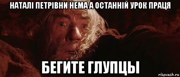 наталі петрівни нема а останній урок праця бегите глупцы, Мем бегите глупцы