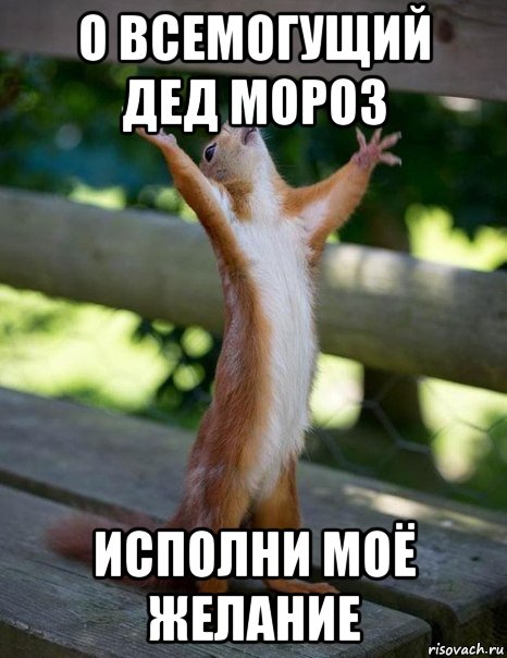 о всемогущий дед мороз исполни моё желание, Мем    белка молится