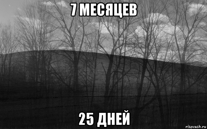 7 месяцев 25 дней