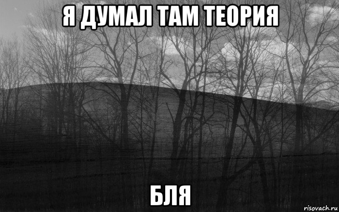 я думал там теория бля, Мем безысходность лес