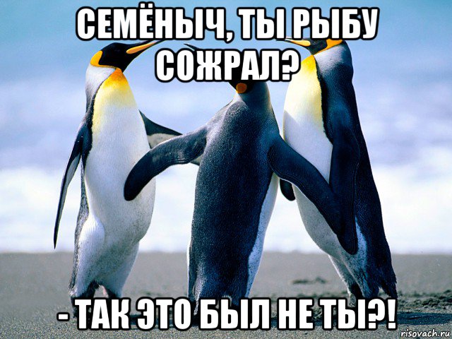семёныч, ты рыбу сожрал? - так это был не ты?!