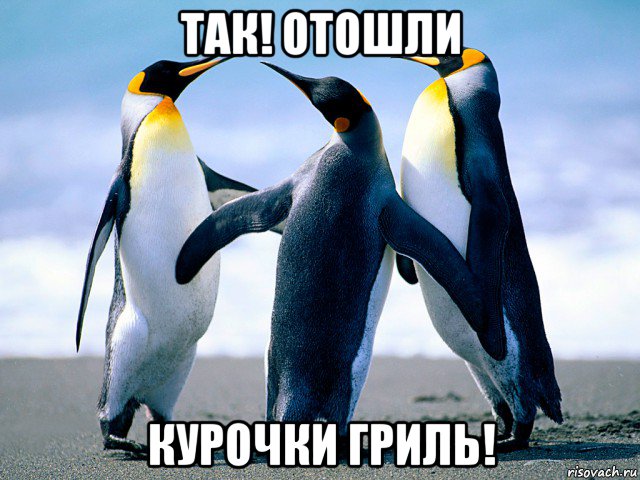 так! отошли курочки гриль!