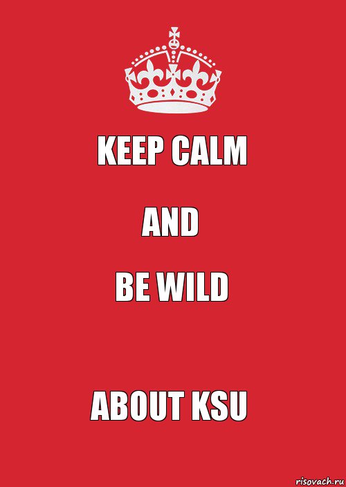 KEEP CALM and Be wild about Ksu, Комикс Keep Calm 3