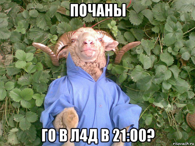 почаны го в л4д в 21:00?, Мем человек паук