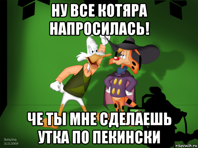 ну все котяра напросилась! че ты мне сделаешь утка по пекински