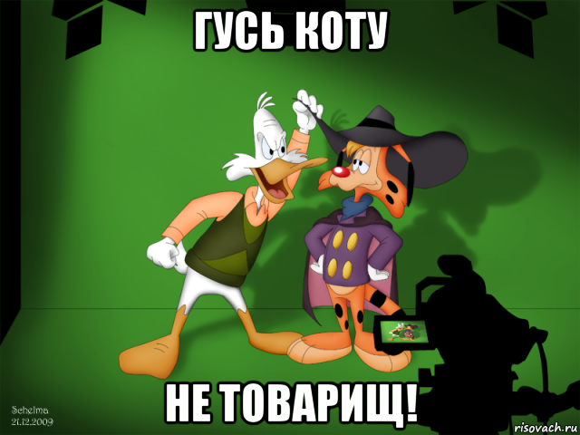 гусь коту не товарищ!