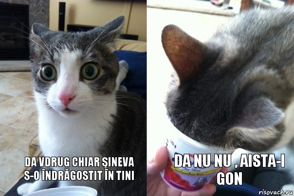  da vdrug chiar şineva s-o îndrăgostit în tini  da nu nu , aista-i gon, Комикс  Да не бред какой-то (4 зоны)